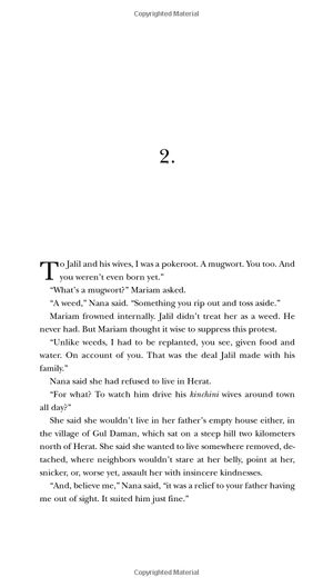 exp a thousand splendid suns