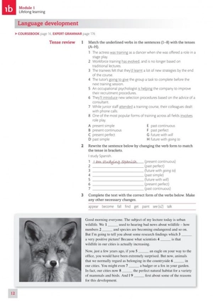 expert ielts 7.5 student's resource book with key