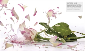 explanatorium of science - where the wonders of the world are revealed