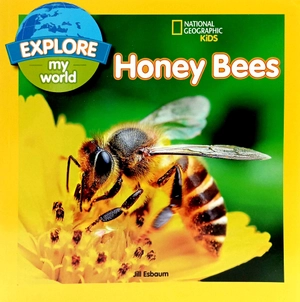 explore my world: honey bees