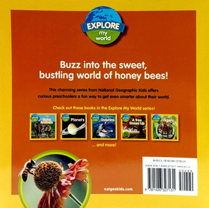 explore my world: honey bees