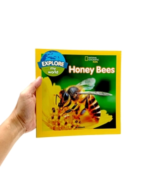 explore my world: honey bees