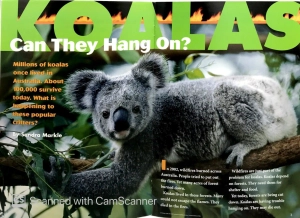 explorer books (pioneer science: animals): koalas