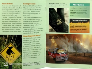 explorer books (pioneer science: animals): koalas