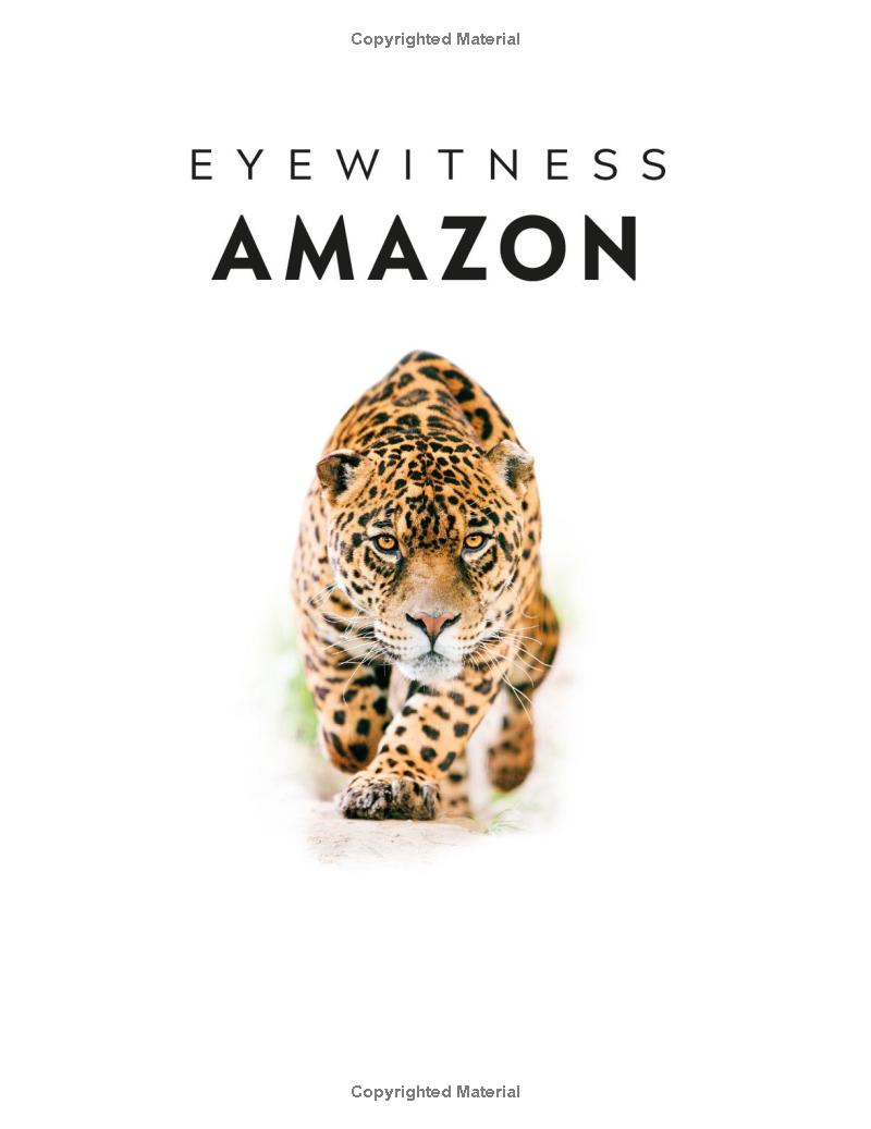 Eyewitness - Amazon