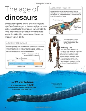 eyewitness: dinosaur