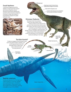 eyewitness: dinosaur