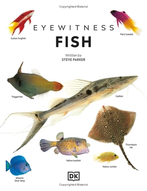 eyewitness - fish