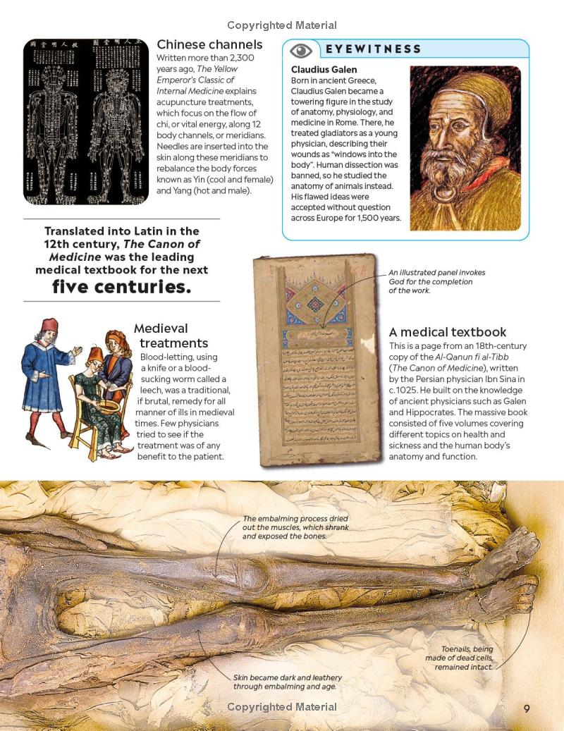 Eyewitness - Human Body