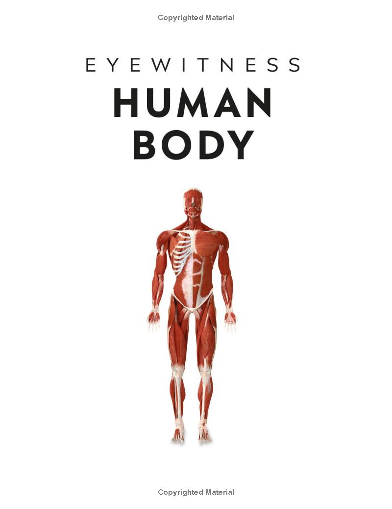 Eyewitness - Human Body