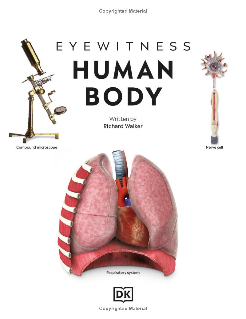 Eyewitness - Human Body