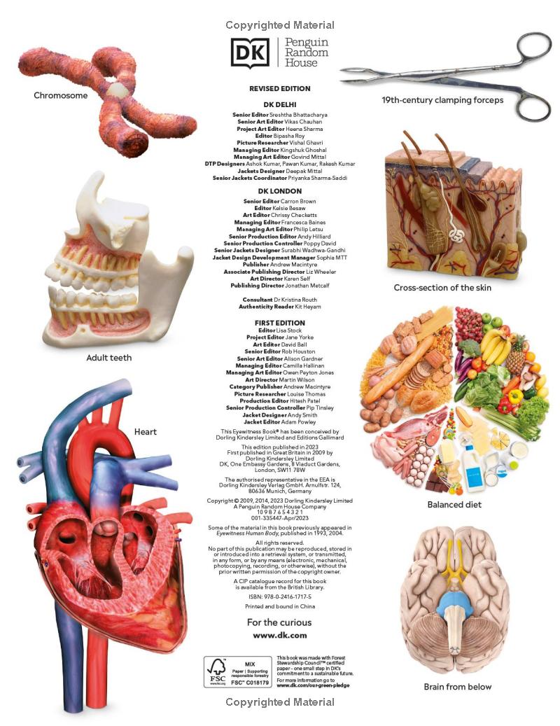 Eyewitness - Human Body