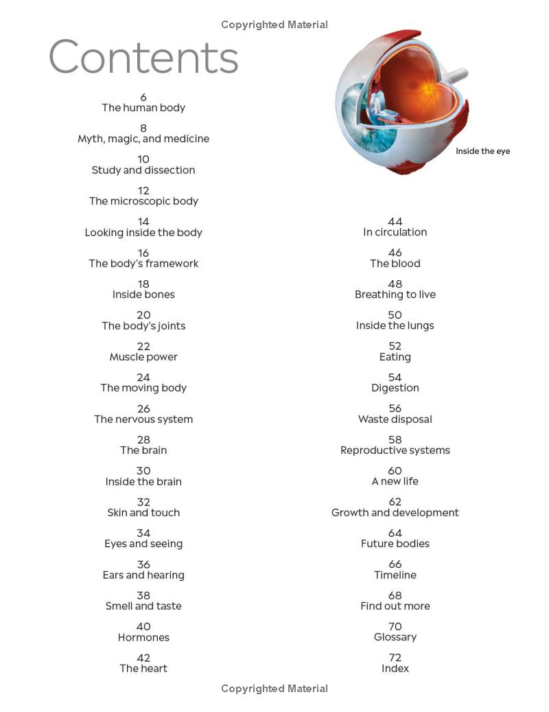 Eyewitness - Human Body