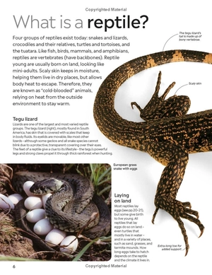 eyewitness - reptile