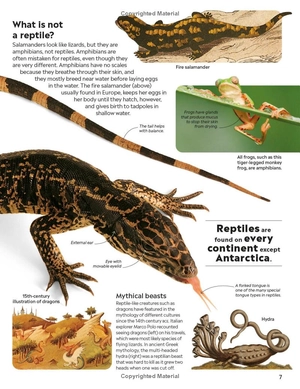 eyewitness - reptile