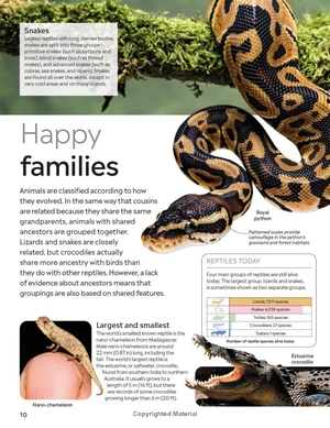 eyewitness - reptile