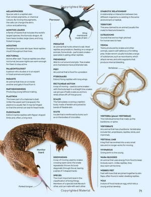 eyewitness - reptile