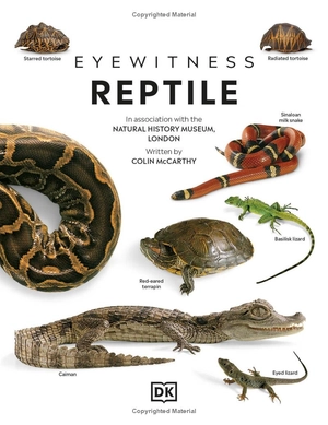 eyewitness - reptile