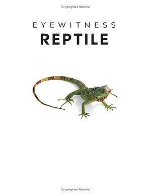 eyewitness - reptile