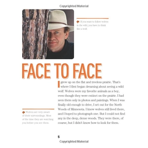 face to face with wolves