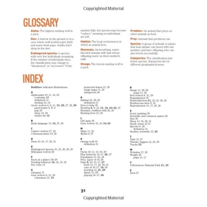 face to face with wolves