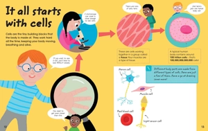 factivity vol. 2 - discover your amazing human body