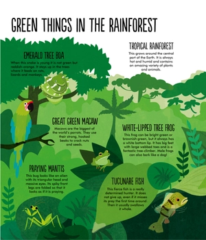 facts: essential knowledge for curious kids