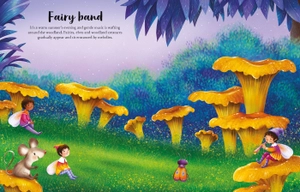 fairies, pixies and elves sticker book