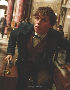 fantastic beasts movie hand charact