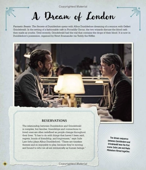 fantastic beasts - the secrets of dumbledore: movie magic