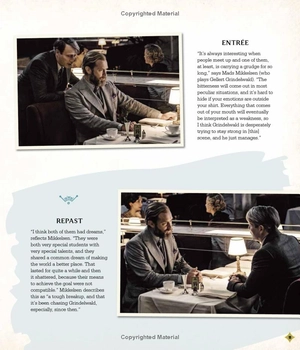 fantastic beasts - the secrets of dumbledore: movie magic