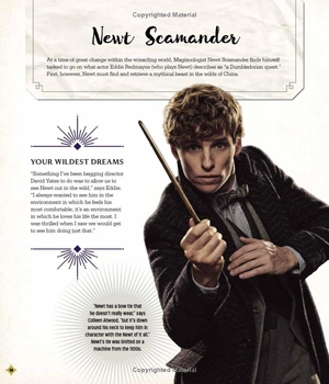 fantastic beasts - the secrets of dumbledore: movie magic