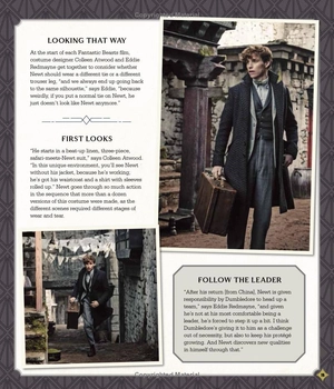 fantastic beasts - the secrets of dumbledore: movie magic