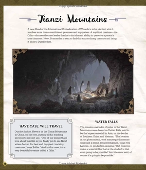 fantastic beasts - the secrets of dumbledore: movie magic