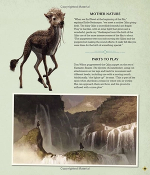 fantastic beasts - the secrets of dumbledore: movie magic