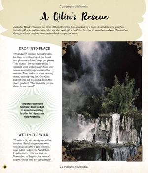 fantastic beasts - the secrets of dumbledore: movie magic