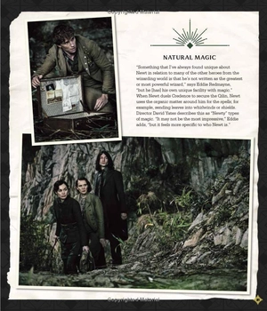 fantastic beasts - the secrets of dumbledore: movie magic