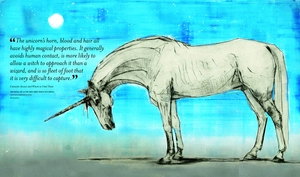 fantastic beasts: the wonder of nature - amazing animals and the magical creatures of harry potter and fantastic beasts