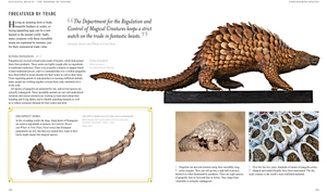 fantastic beasts: the wonder of nature - amazing animals and the magical creatures of harry potter and fantastic beasts