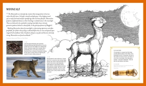 fantastic beasts: the wonder of nature - amazing animals and the magical creatures of harry potter and fantastic beasts