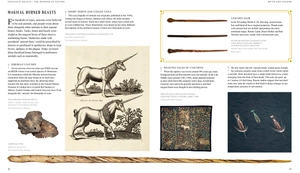 fantastic beasts: the wonder of nature - amazing animals and the magical creatures of harry potter and fantastic beasts