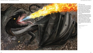 fantastic beasts: the wonder of nature - amazing animals and the magical creatures of harry potter and fantastic beasts