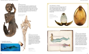 fantastic beasts: the wonder of nature - amazing animals and the magical creatures of harry potter and fantastic beasts