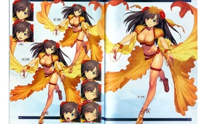 fate/grand order material ii