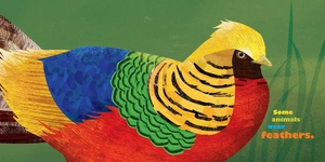 feathers and hair, what animals wear