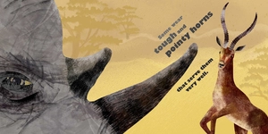 feathers and hair, what animals wear