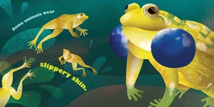 feathers and hair, what animals wear