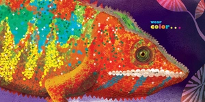 feathers and hair, what animals wear