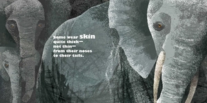 feathers and hair, what animals wear