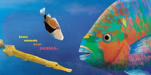 feathers and hair, what animals wear